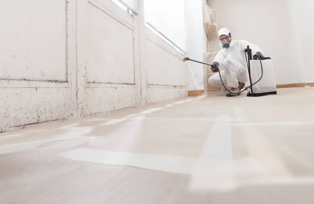 24/7 Emergency Black Mold Remediation experts in Woodbine, GA